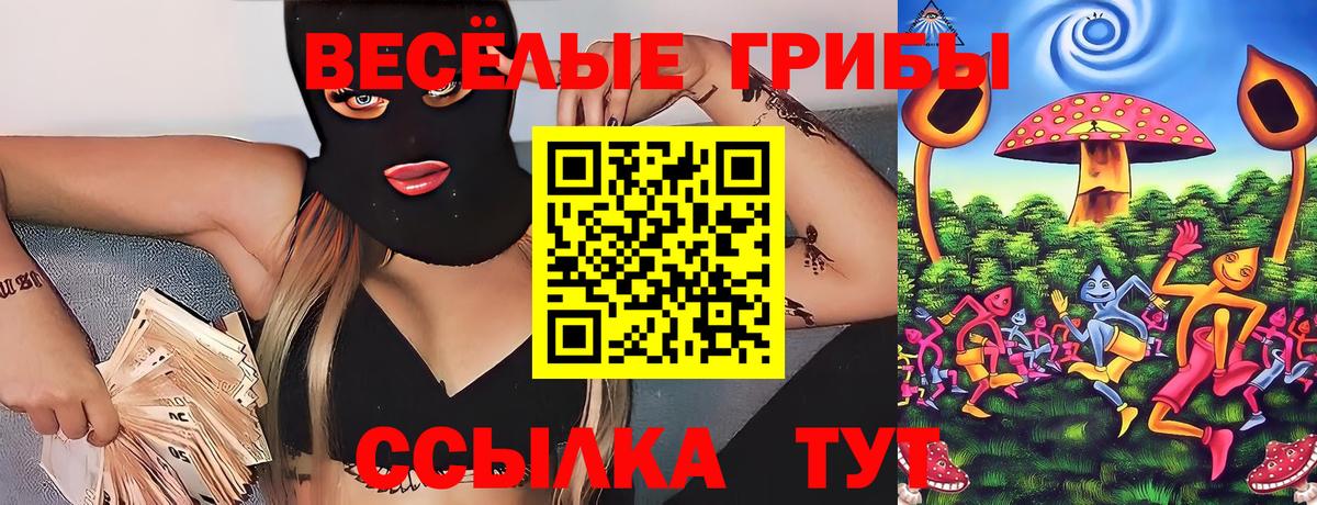 наркотики  Вход с VPN  Советск  Псилоцибиновые грибы Psilocybine cubensis 